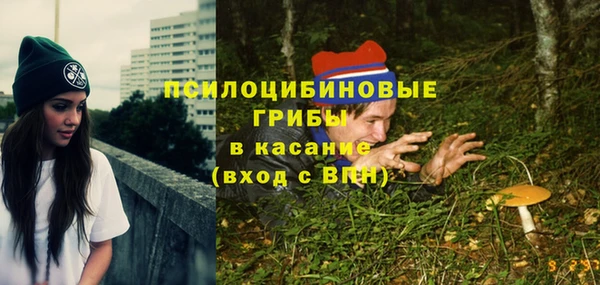 a pvp Мегион